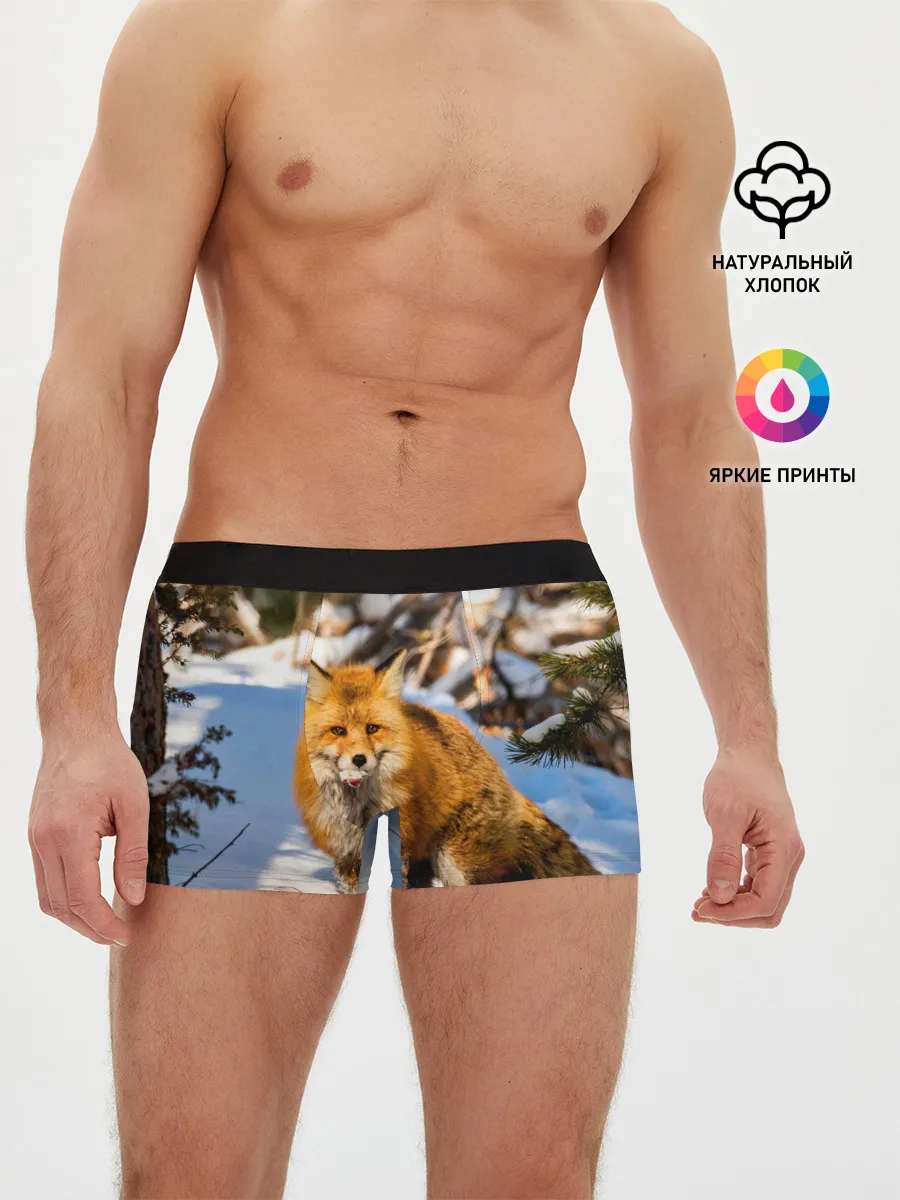 Мужские трусы боксеры / Лиса в лесу
