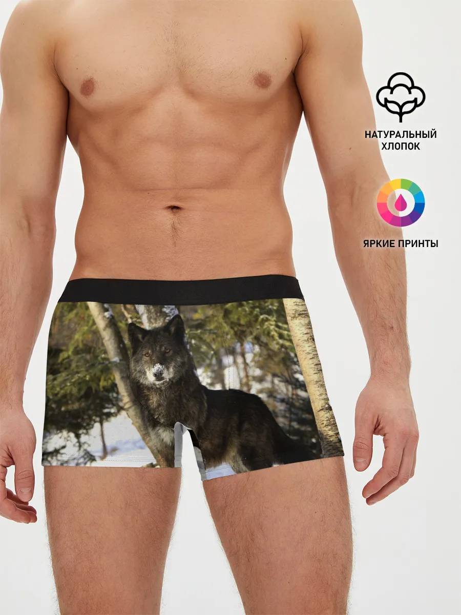 Мужские трусы боксеры / Волк и снег