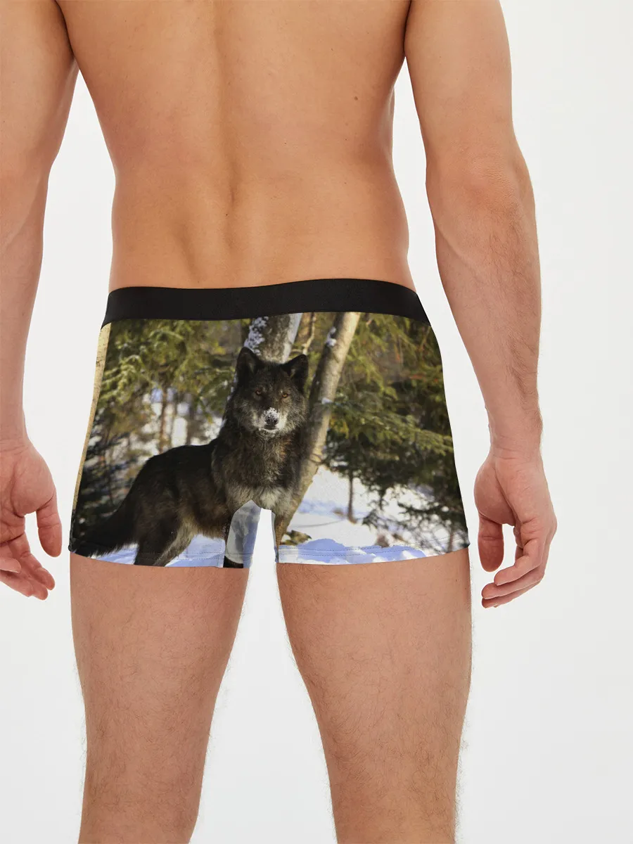 Мужские трусы боксеры / Волк и снег