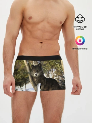 Мужские трусы боксеры / Волк и снег
