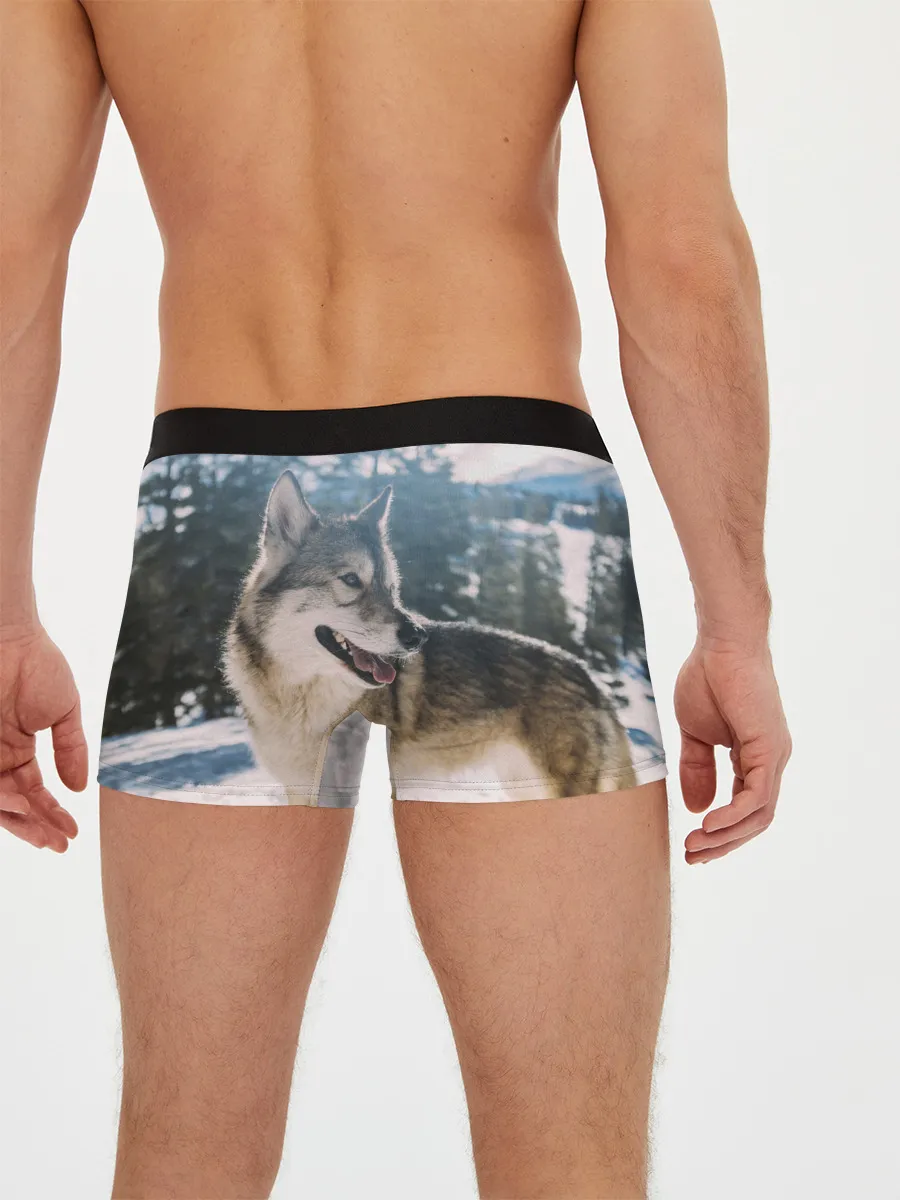 Мужские трусы боксеры / Волк и снег