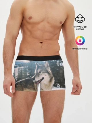 Мужские трусы боксеры / Волк и снег