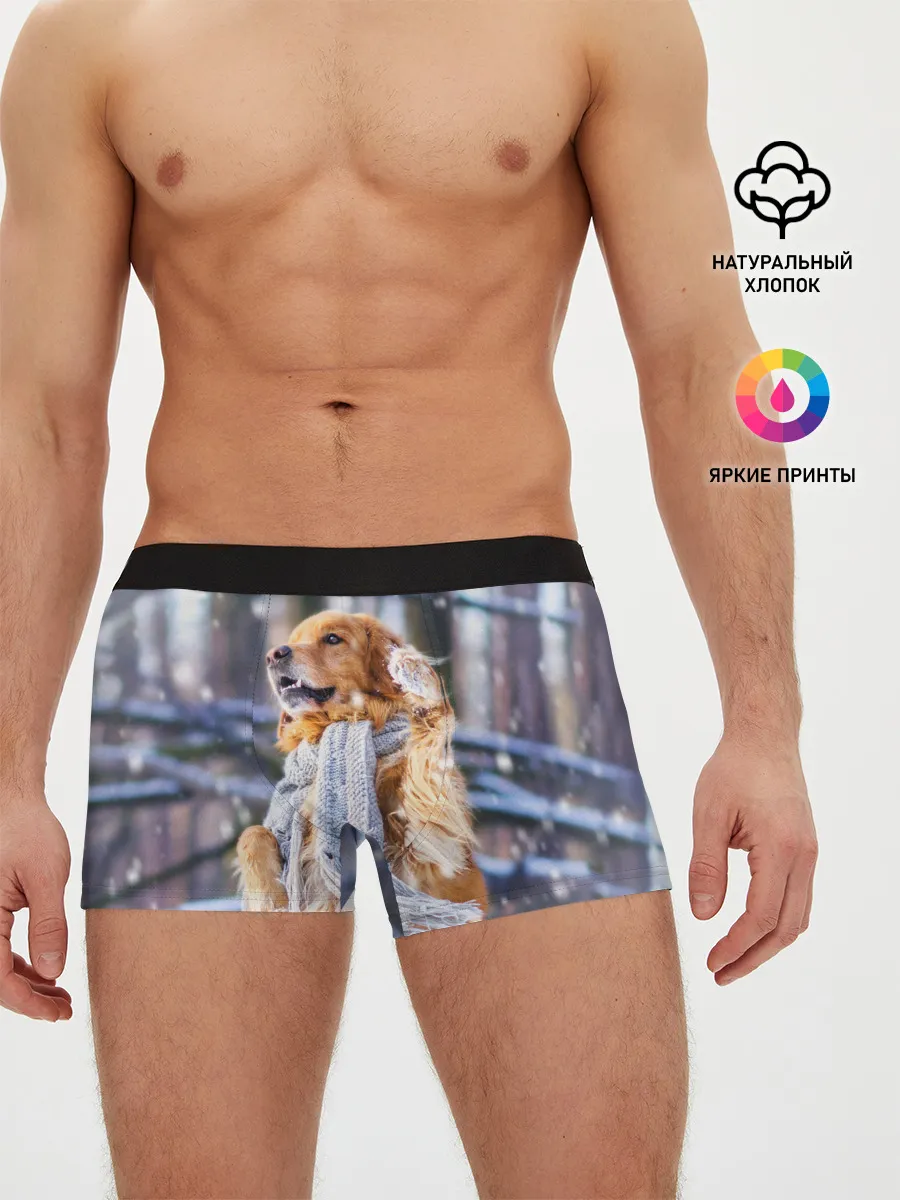 Мужские трусы боксеры / Золотистый Ретривер