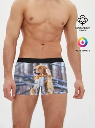 Мужские трусы боксеры / Золотистый Ретривер