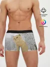 Мужские трусы боксеры / Кот и снег