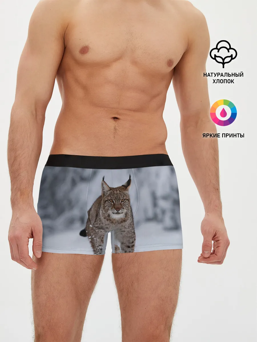 Мужские трусы боксеры / Рысь