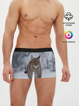 Мужские трусы боксеры / Рысь