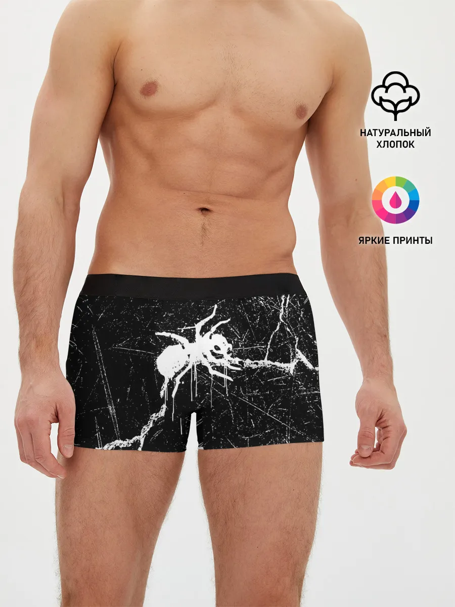 Мужские трусы боксеры / THE PRODIGY.