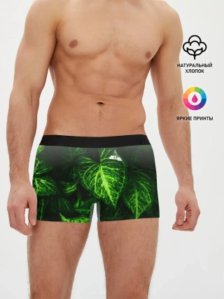 Мужские трусы боксеры / Листья зеленые CODE ERROR 404