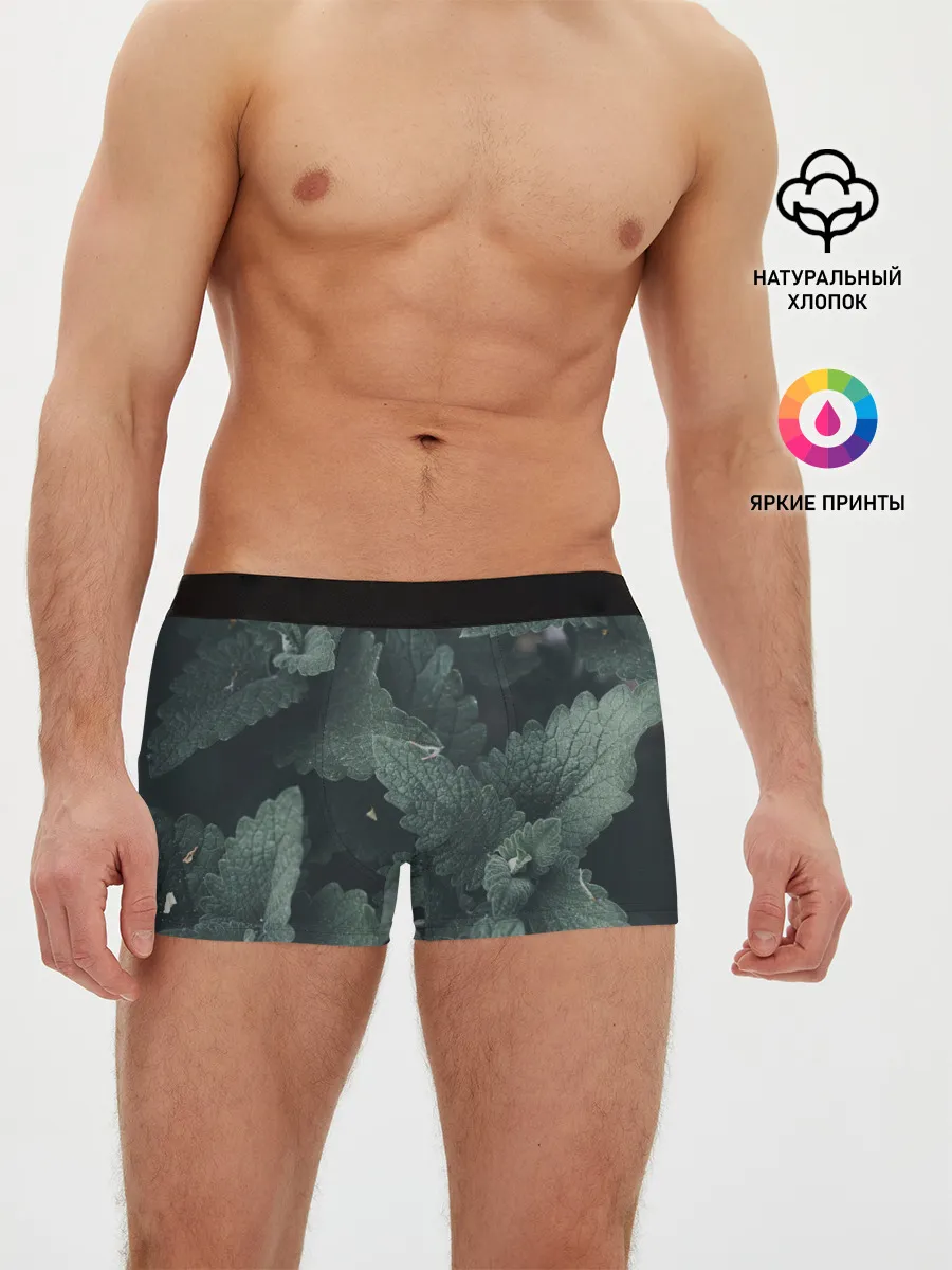 Мужские трусы боксеры / Мята.