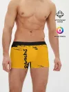 Мужские трусы боксеры / Pikachu black&yellow