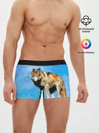 Мужские трусы боксеры / Волк