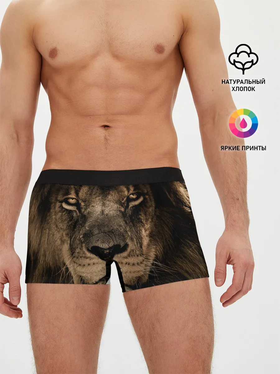 Мужские трусы боксеры / Лев