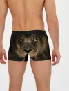 Мужские трусы боксеры / Лев