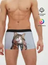 Мужские трусы боксеры / Кот в шарфе