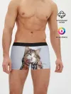 Мужские трусы боксеры / Кот в шарфе
