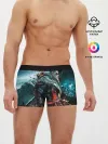 Мужские трусы боксеры / Valhalla
