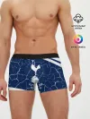 Мужские трусы боксеры / TOTTENHAM HOTSPUR / Тоттенхэм