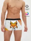 Мужские трусы боксеры / FOX