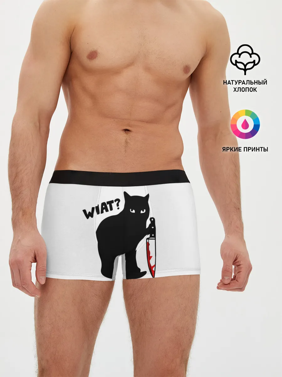Мужские трусы боксеры / What Cat
