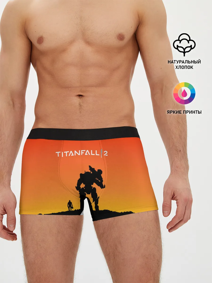 Мужские трусы боксеры / TITANFALL 2