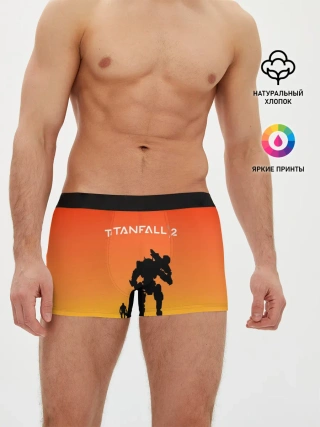 Мужские трусы боксеры / TITANFALL 2