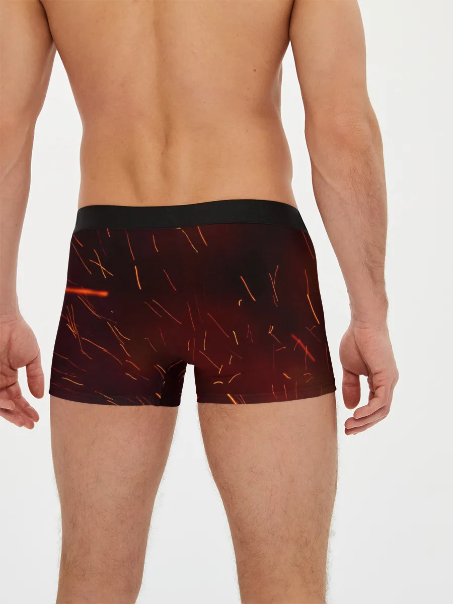 Мужские трусы боксеры / TITANFALL 2