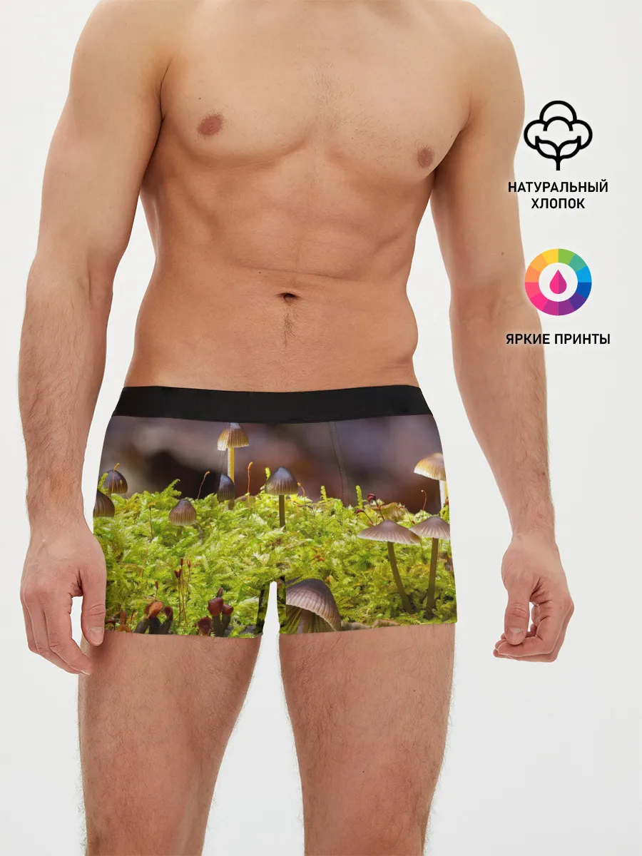 Мужские трусы боксеры / Мох