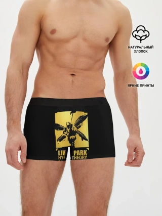Мужские трусы боксеры / Hybrid Theory 20th Anniversary