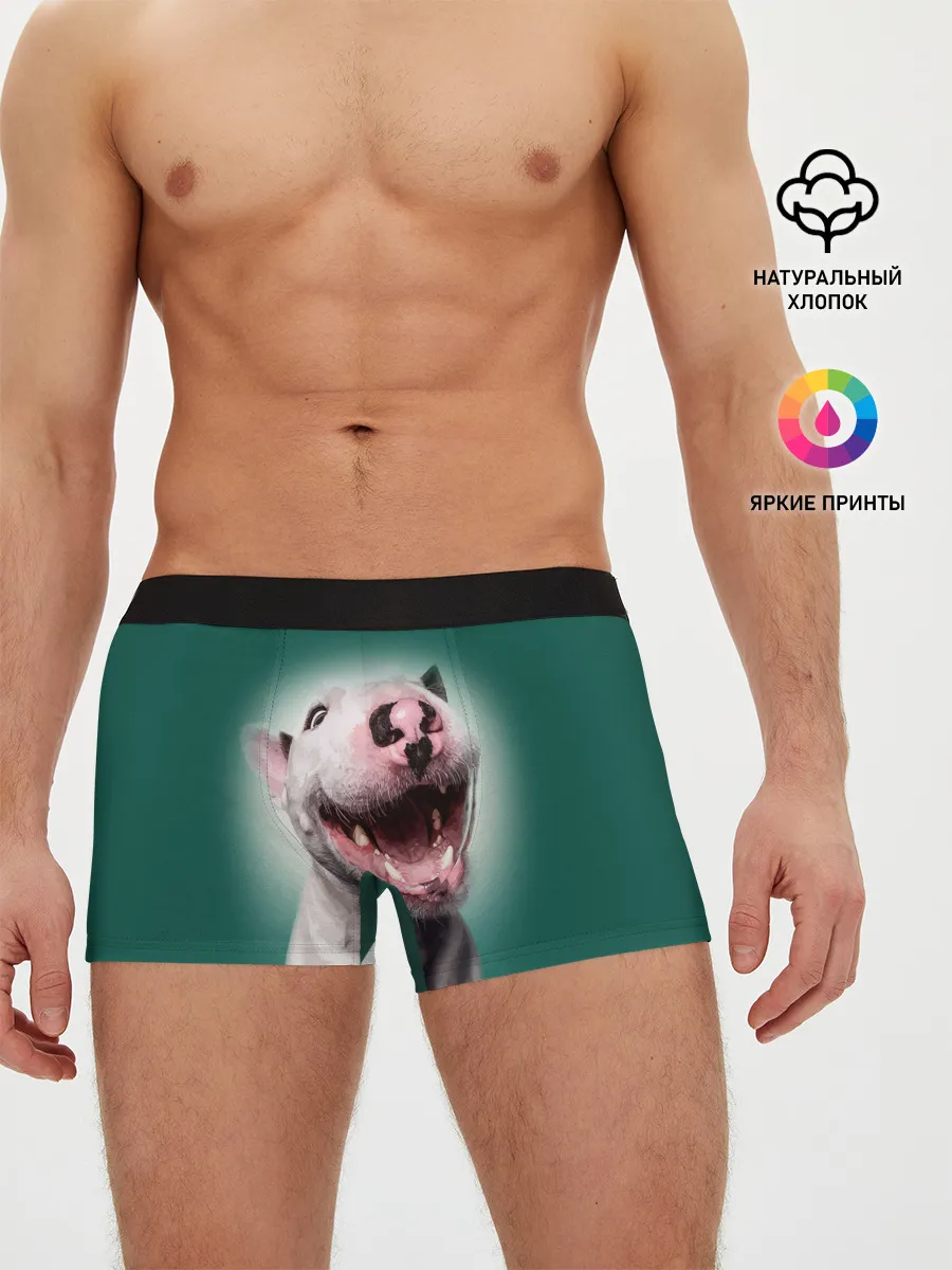 Мужские трусы боксеры / Bully