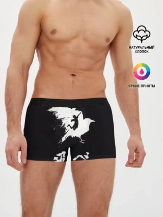 Мужские трусы боксеры / Fly High