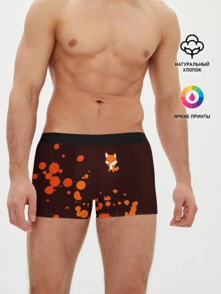 Мужские трусы боксеры / ЛИСИЧКА / FOXY