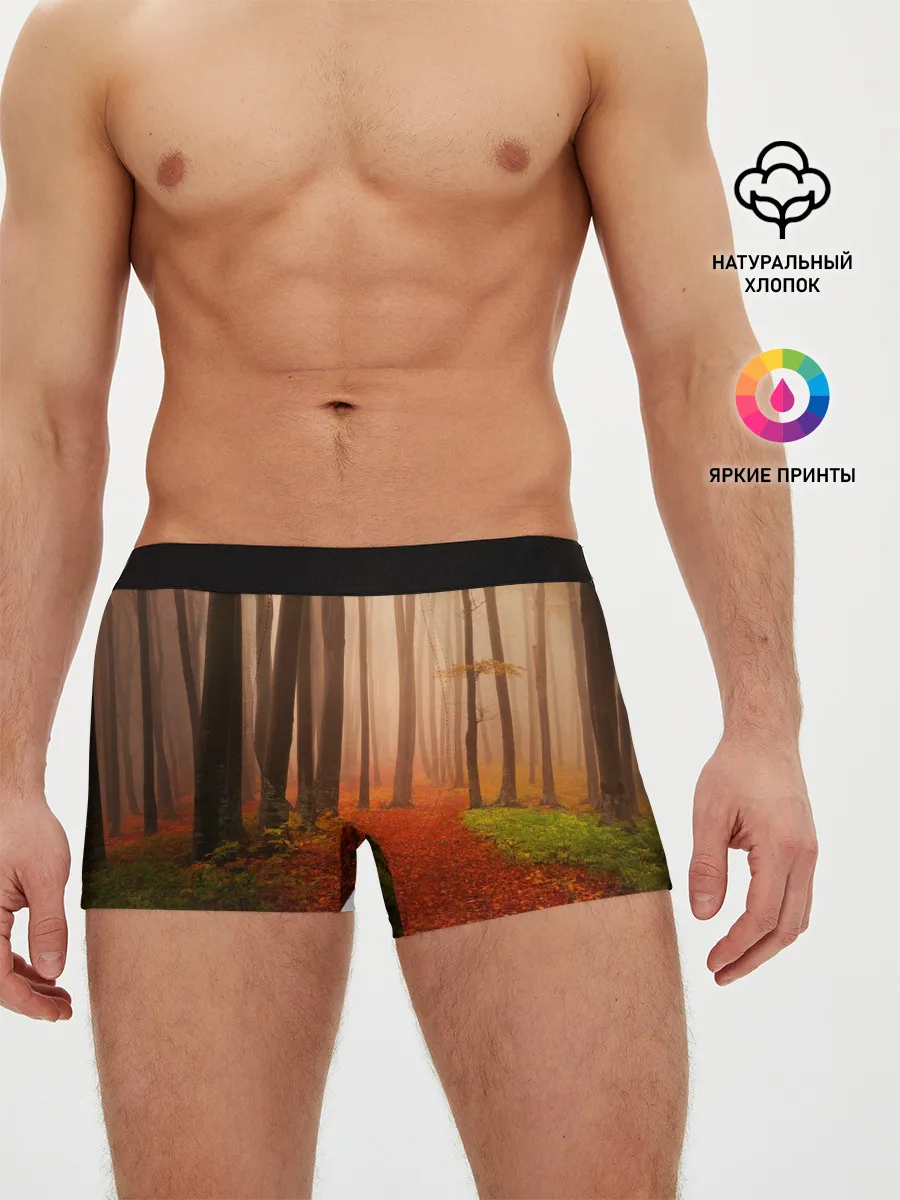 Мужские трусы боксеры / Осенний лес