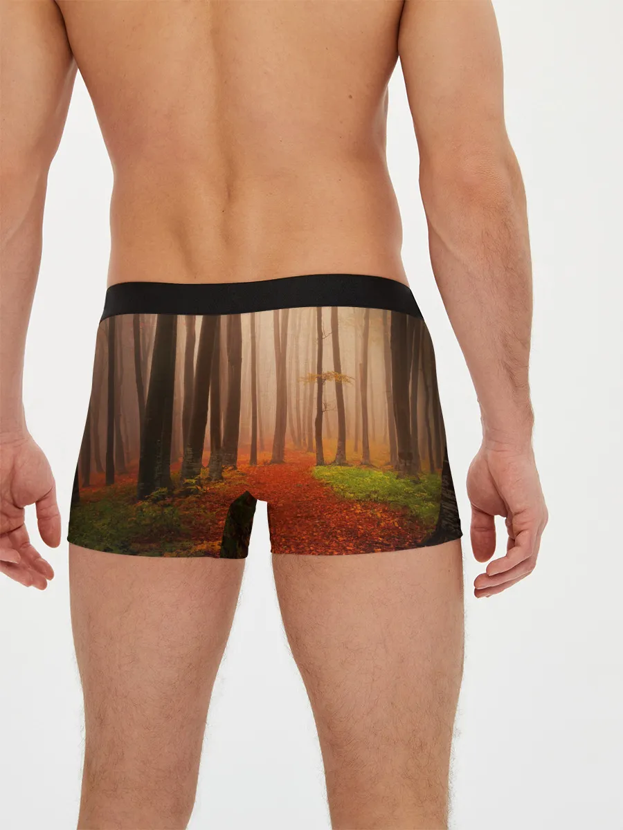 Мужские трусы боксеры / Осенний лес