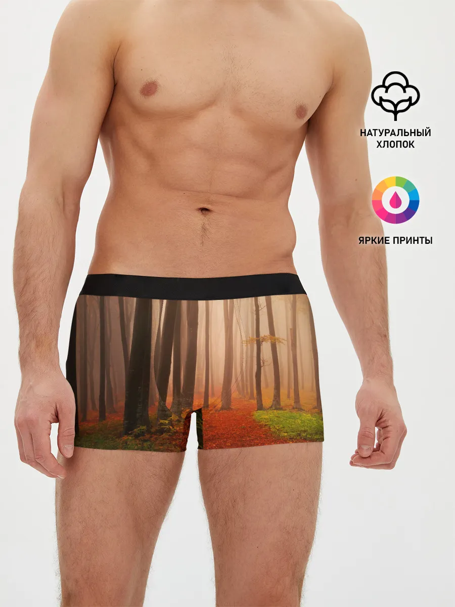 Мужские трусы боксеры / Осенний лес