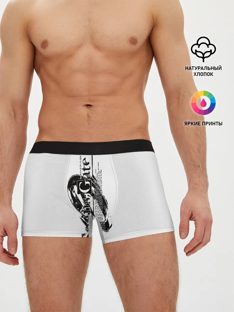 Мужские трусы боксеры / Врата Штейна / Steins Gate