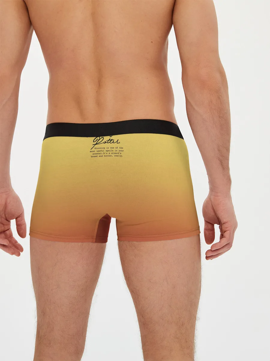 Мужские трусы боксеры / Гарри Поттер