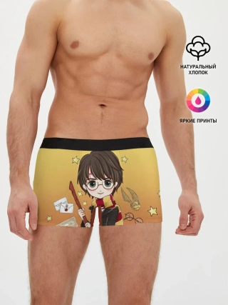 Мужские трусы боксеры / Гарри Поттер