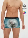 Мужские трусы боксеры / Волки альбиносы