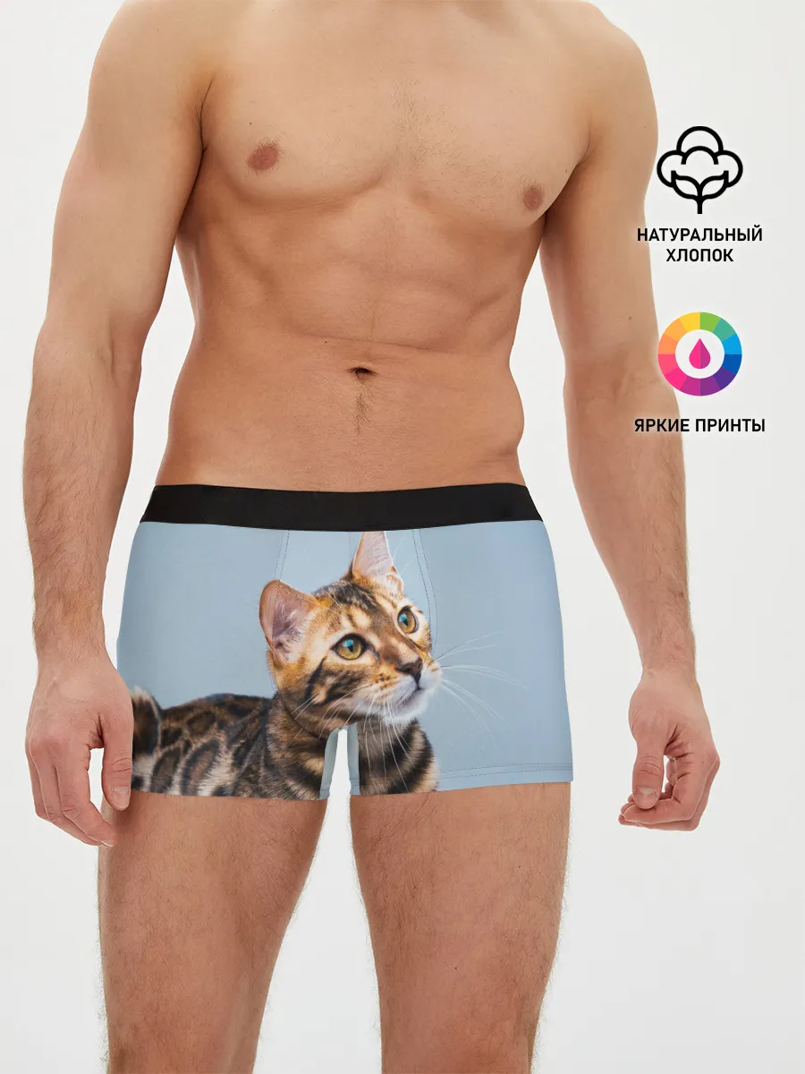 Мужские трусы боксеры / Бенгальский кот