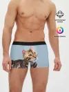 Мужские трусы боксеры / Бенгальский кот