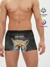 Мужские трусы боксеры / Фыр-фыр?