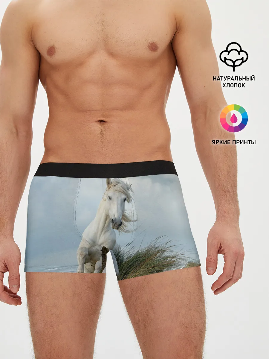 Мужские трусы боксеры / Лошадь