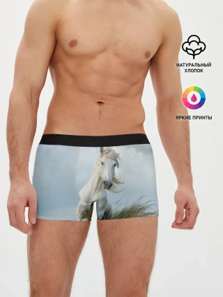 Мужские трусы боксеры / Лошадь