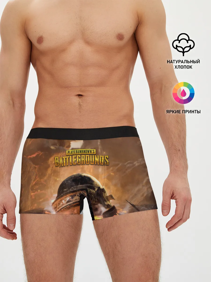 Мужские трусы боксеры / PlayerUnknowns Battlegrounds