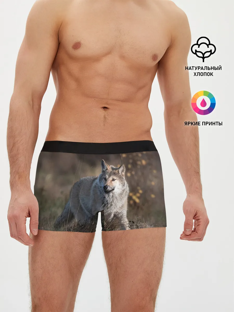 Мужские трусы боксеры / WOLF