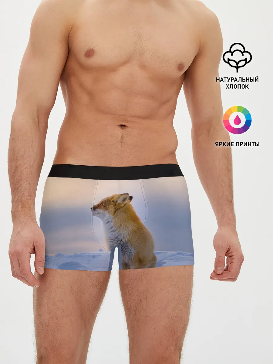 Мужские трусы боксеры / Лисичка