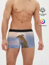 Мужские трусы боксеры / Лисичка