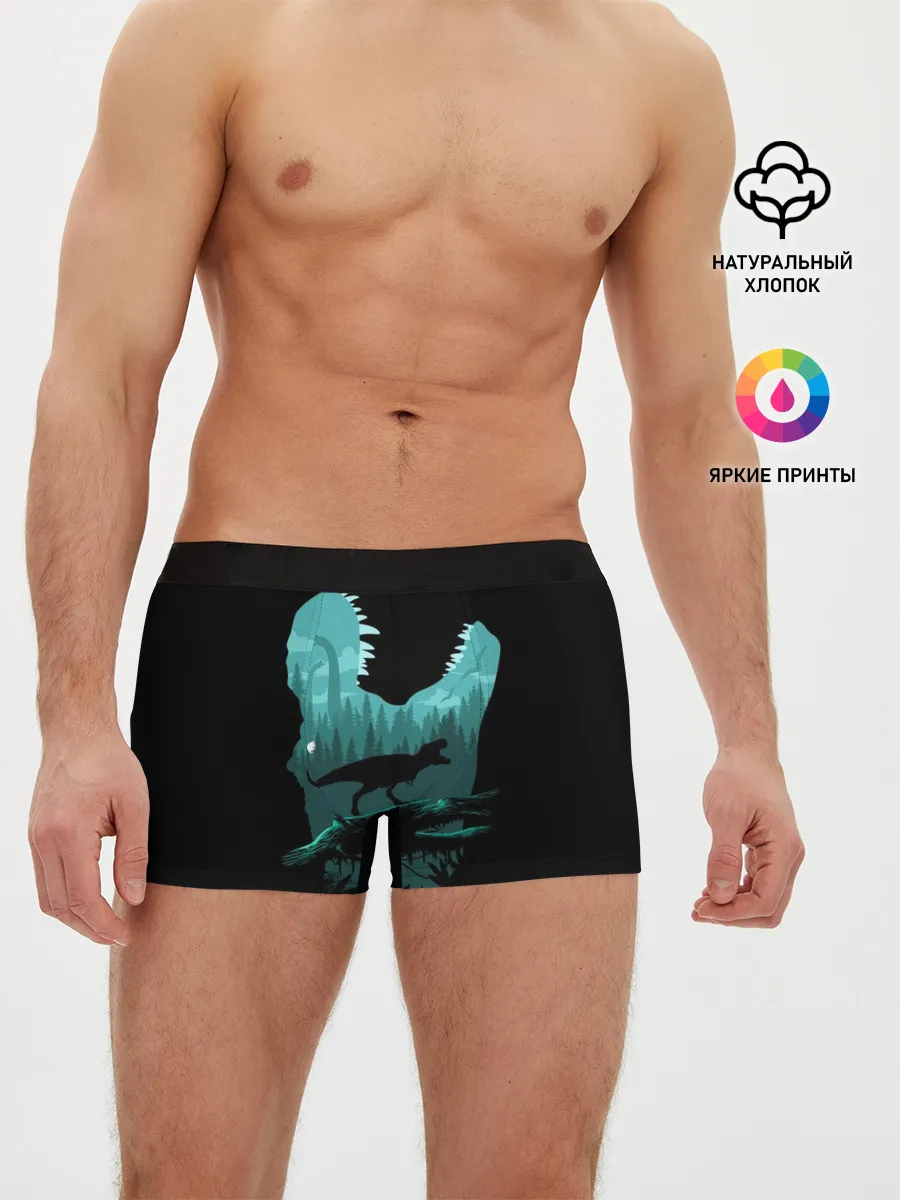 Мужские трусы боксеры / T-Rex