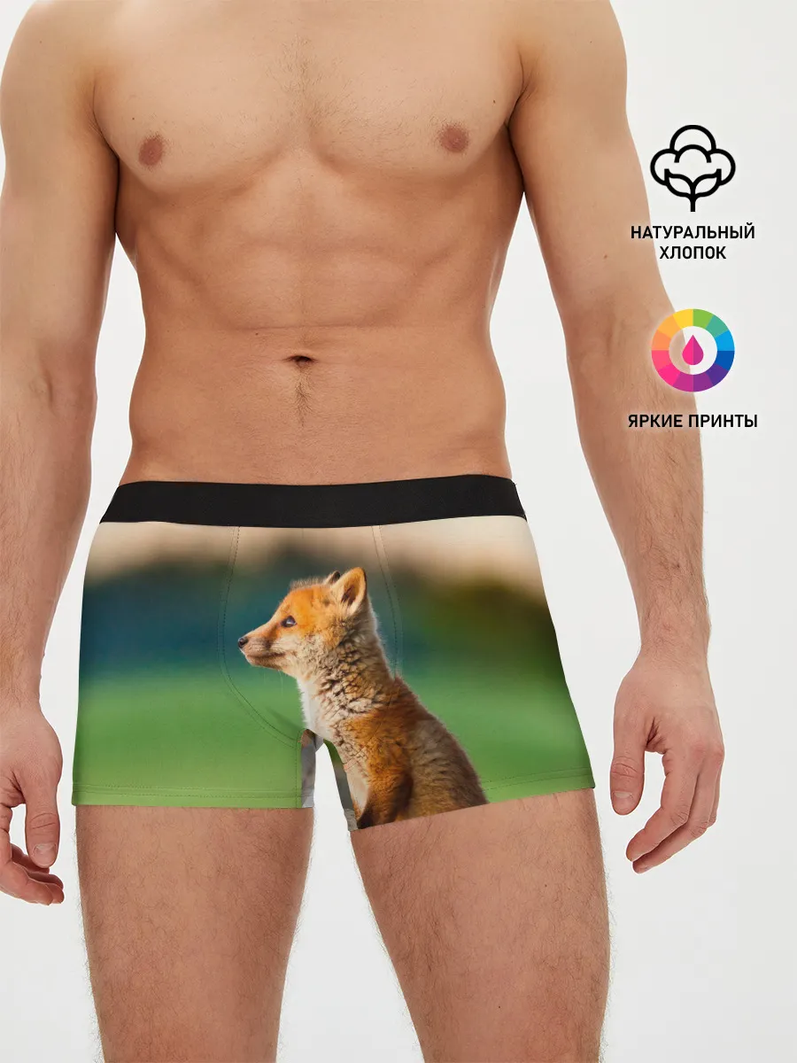 Мужские трусы боксеры / Лиса